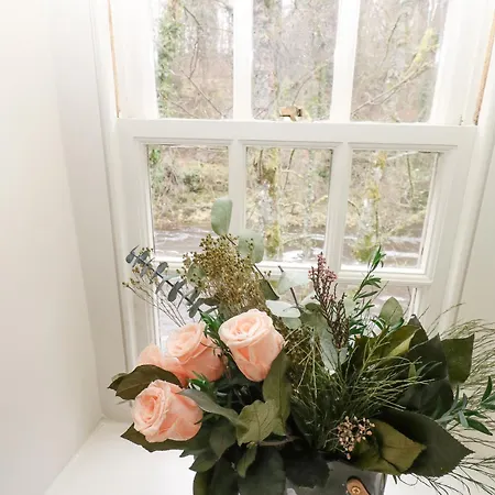 펜션 River Dance 레이번