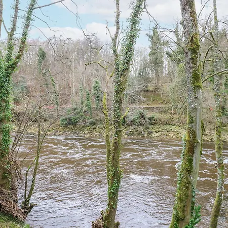 River Dance 莱伯恩